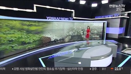 [날씨] 장맛비 내일이면 그쳐…남부 다시 낮 더위