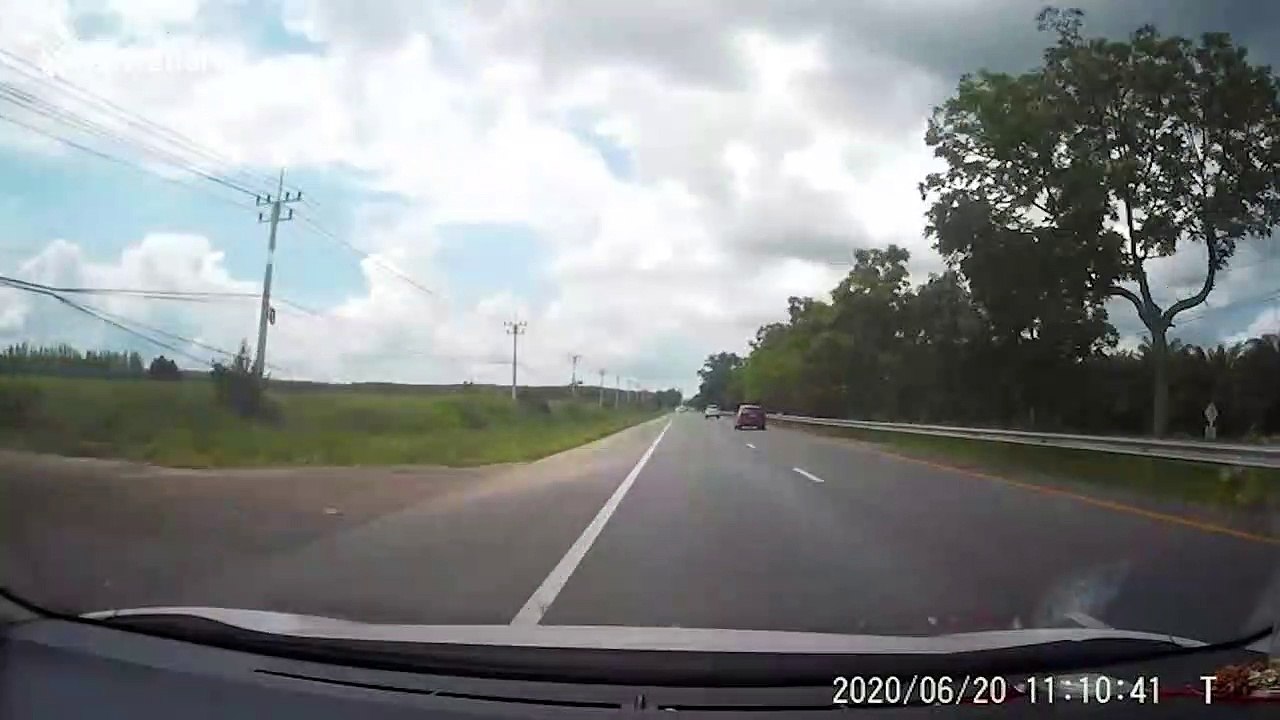 Quick-thinking driver dodges tree that falls down into road