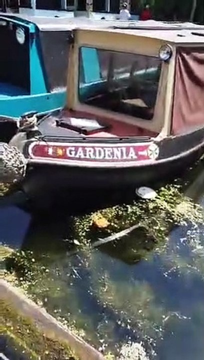 Andrew Eborn RJ Gibb KTT GSI SPECIAL ANNOUNCEMENT LIVE FROM CAMDEN MARKET