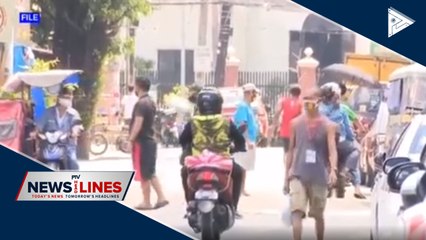 Roque: Palace not favoring private vehicles