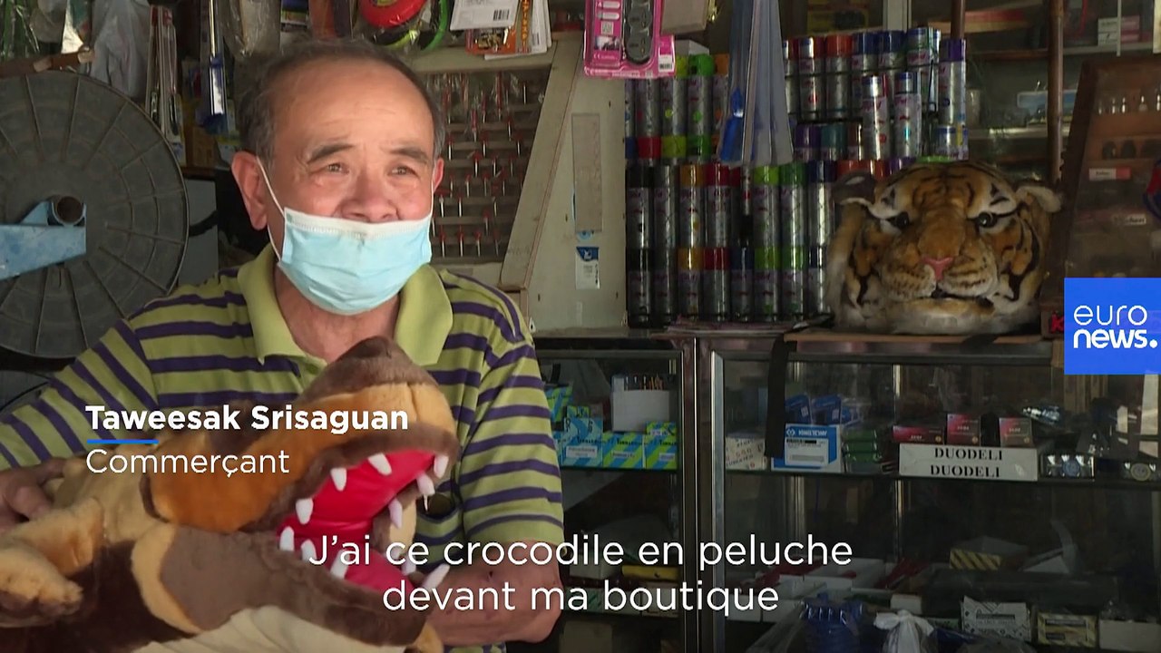 Thaïlande : envahie par les macaques, "la ville des singes" contre-attaque