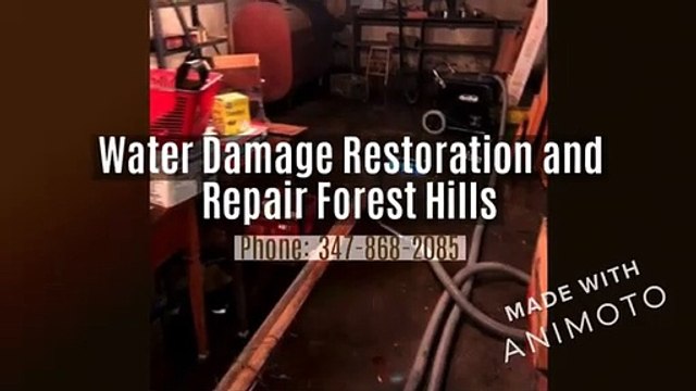 Water Damage Restoration and Repair Forest Hills