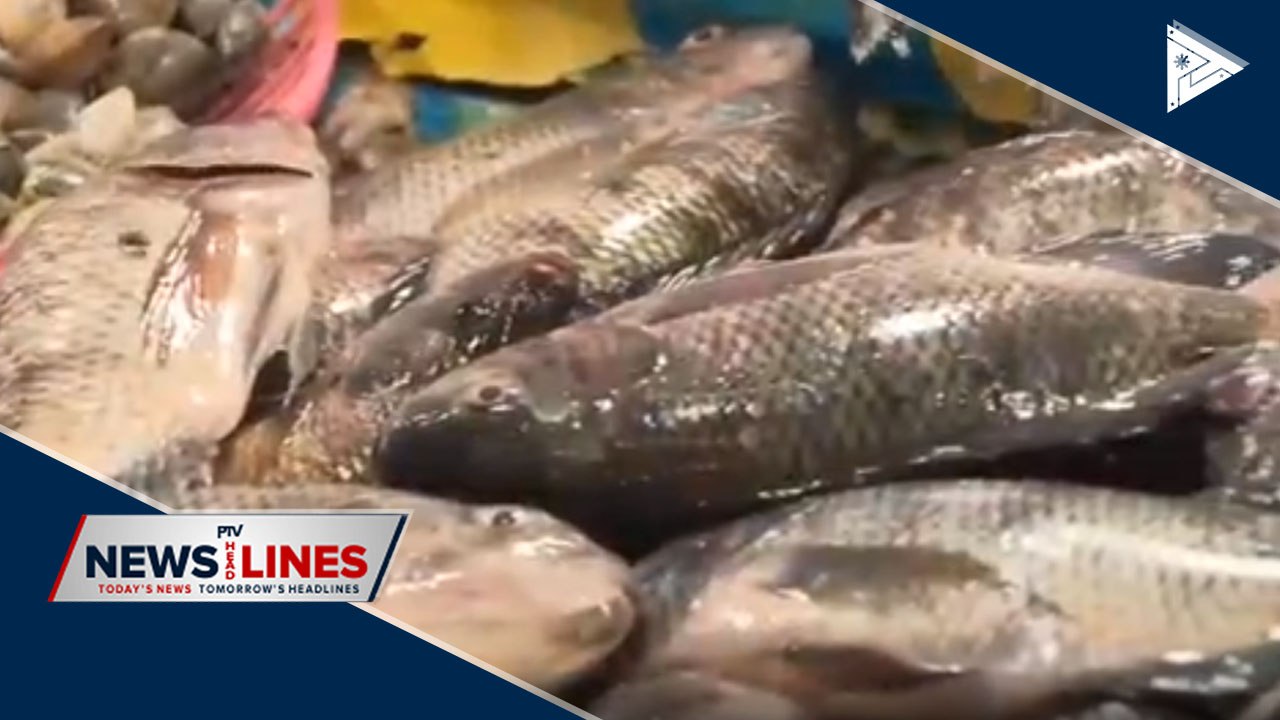 BFAR assures fish, shrimps sold in markets safe to eat