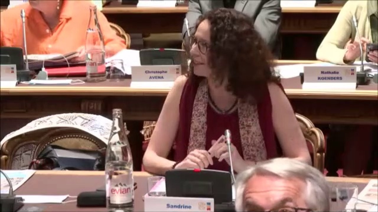 Sandrine HILY. Politique forestiere départementale. Session du 24 juin 2020