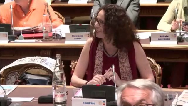 Sandrine HILY. Politique forestiere départementale. Session du 24 juin 2020