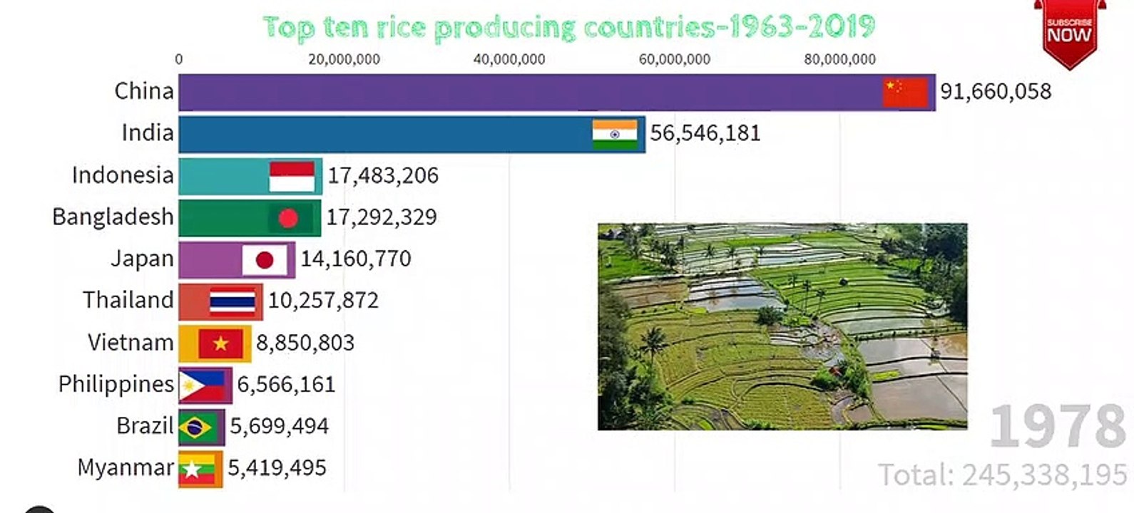Top ten rice producing countries in the world-1963-2020/Racing Bar Chart