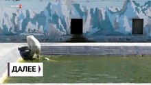ヤクーツク動物園でのアルマスの命名(Jun24_2020)