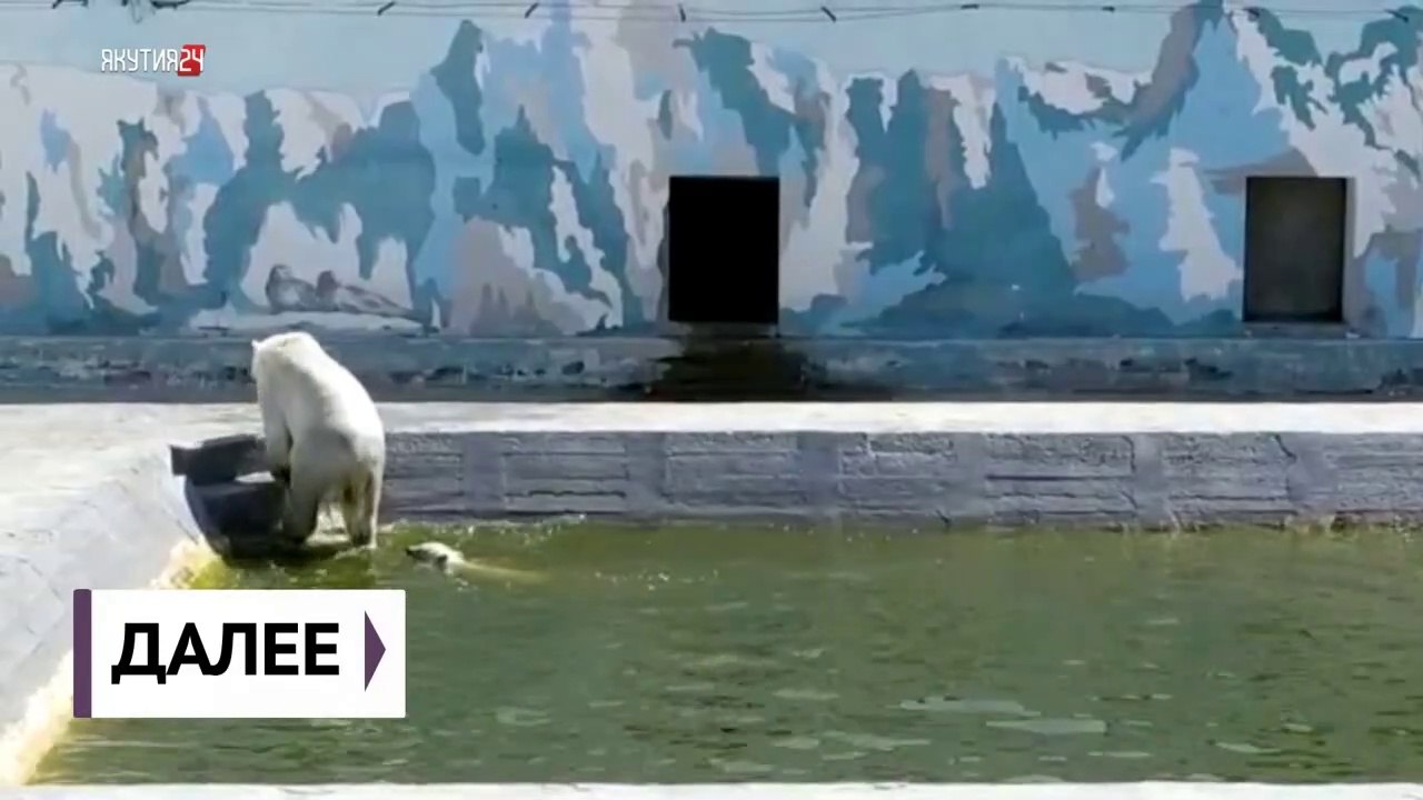 ヤクーツク動物園でのアルマスの命名(Jun24_2020)