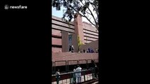 People scream as building seen shaking during Mexico quake