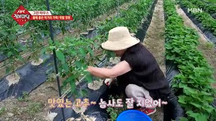 집 앞 정원 외에 계속 나오는 정원?!