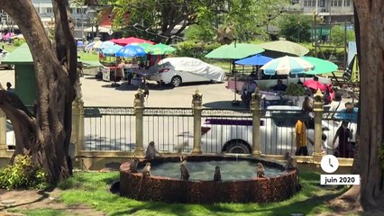 Thaïlande : une ville envahie par les singes