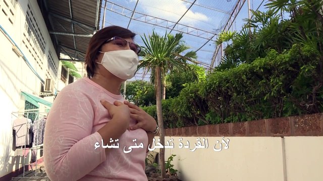 قرَدة خارجة عن السيطرة في مدينة تايلاندية