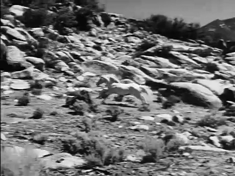 Fury - S1E2: Killer Stallion (Family,Western, TV Series)