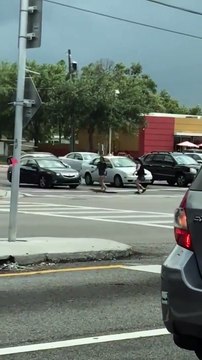 En Floride les gens aident les alligators à traverser la route