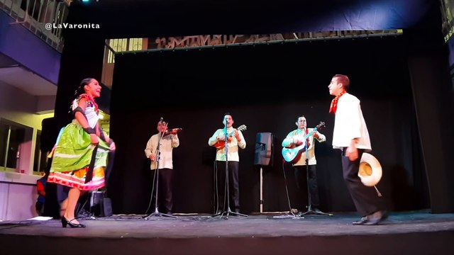 FANDANGO HUASTECA danza folklórica veracruzana hidalguense Xalapa