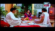 Bubbly Kya Chahti Hai Episode 13 & 14 - ARY Zindagi Drama