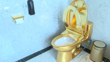 Fancy sitting on a golden toilet seat?