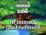 Adventures of the Gummi Bears Season 6 Episode 5 Zummi In Slumberland