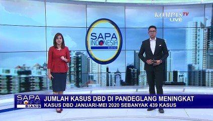 Tercatat Sejak Awal Tahun, Ada Lebih dari 400 Kasus Penyakit DBD