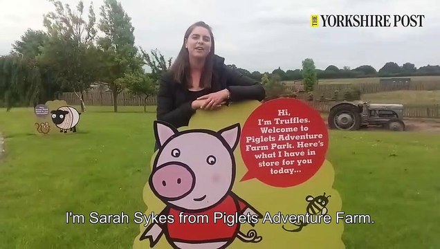 Piglets adventure Playground