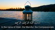 Al Quran : 111 Sura Al Lahab/Masad with english
