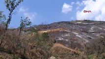 Menderes'teki yangının tahribatı, havadan görüntülendi