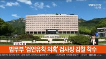 법무부 '검언유착 의혹' 검사장 감찰 착수