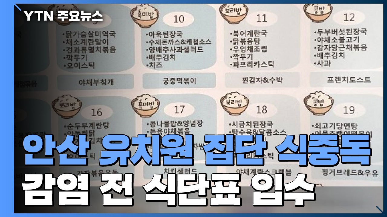 [단독] 안산 '식중독·햄버거병' 발병 유치원 식단표 입수 / YTN