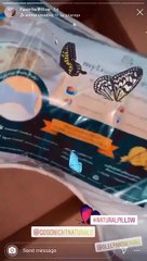 Dennise Orozco aka greenbeautyandfit – Sleep & Beyond myDual Side Pillow