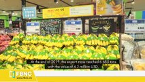 Vietnamese bananas made it to Lotte mart chains in Korea South