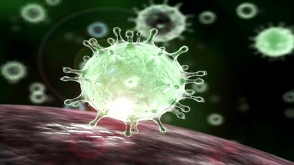 Everything You Need To Know About The Coronavirus