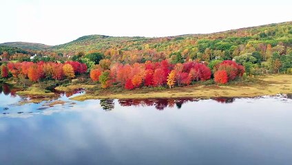 How To Be Successful In Life | Success Affirmations