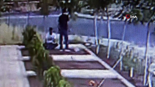 Diyarbakır'da bir garip hırsızlık, yıllarca gözü gibi baktığı ağaçları böyle çalındı