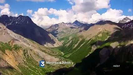 Des racines et des ailes