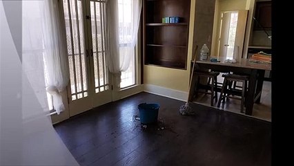 Professional Maid Cleaning Services - (213) 949-0190