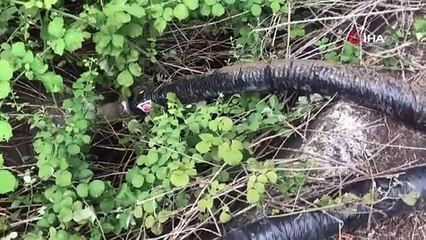 Kayıp Derya için Narlıdere boşaltılıyor