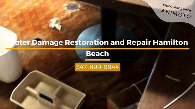 Water Damage Restoration and Repair Hamilton Beach