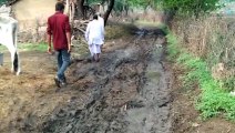 जिला मुख्यालय के पास स्थित भेरू खेड़ा गांव को विकास कार्यो का इंतजार