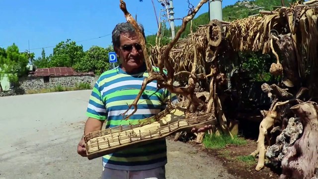 Kurumuş ağaç kökleri usta elinde sanat eserine dönüşüyor - OSMANİYE