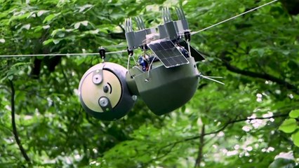 ‘Slothbot’ saves endangered species by moving slowly to see the big environmental picture