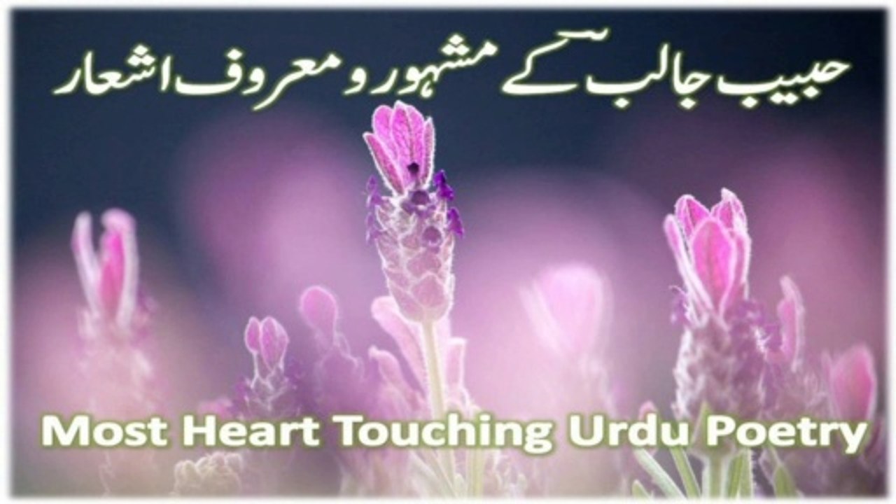 Best Urdu Poetry | Best Shayari | Urdu Shayari | Urdu Poetry | Shayari | Poetry In Urdu | Urdu Ghazal | Urdu Poetry Shayari With Ibn e Ata | Ibn e Ata | Urdu Poetry | urdu Shayari | ibne ata