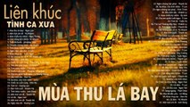 MÙA THU LÁ BAY, MỘT MAI EM ĐI - Dòng Nhạc Tình Ca Xưa Lãng Mạn, Sâu Lắng - Tình khúc Ru Ngủ Về Đêm