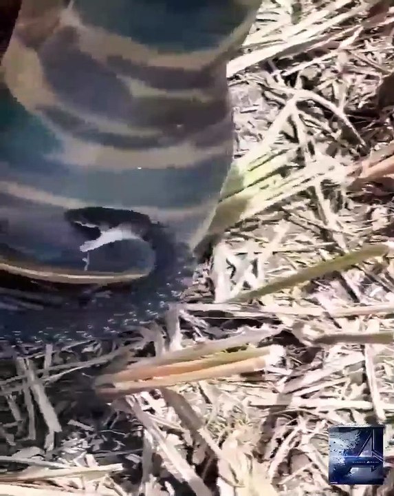 Oh God Help  - Oh God Help ...