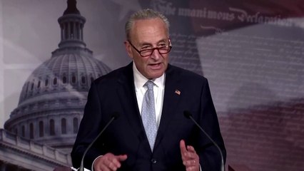 Republican police reform bill 'lacks substance,' says Schumer
