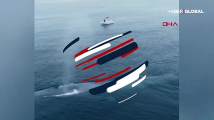 Okyanusun ortasında görülen mavi balina balıkçıları korkuttu