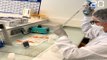 Coronavirus: Une usine du Nord fabrique des tests pour le monde entier
