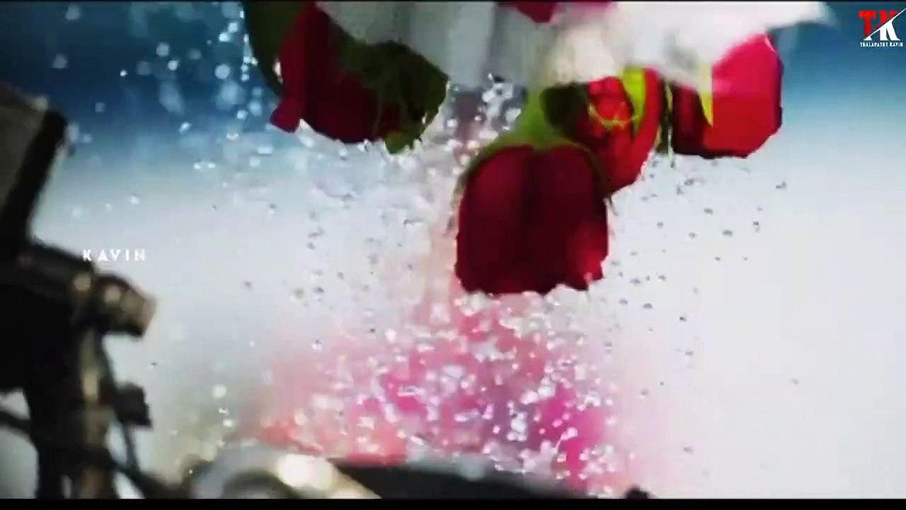 videoplayback (1)