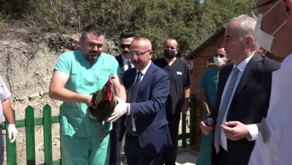 - Vali Atik, sokak hayvanlarını sahiplenme çağrısında bulundu
