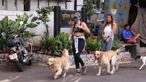 Arjun Rampal's girlfriend Gabriella Demetriades walks with her Dog | FilmiBeat