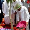 KCR launches Haritha Haram sixth phase, aims to plant 30 crore saplings